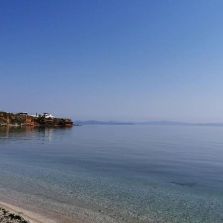 Apartmán Summer House With A Pool Near Sea, Port & Airport Rafína Exteriér fotografie