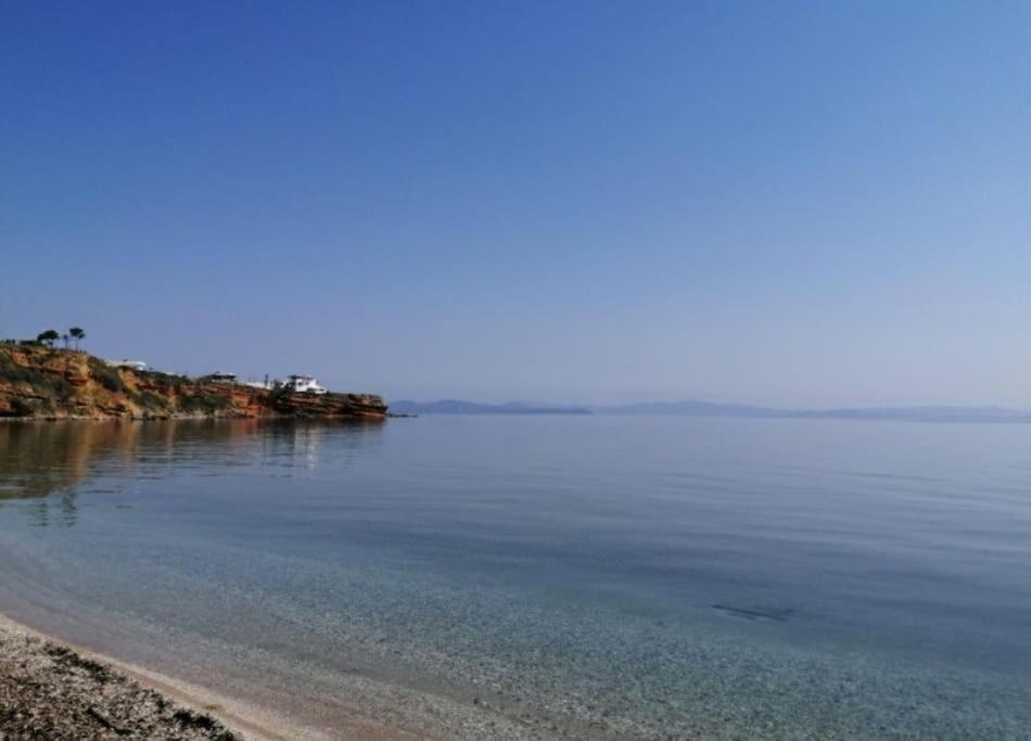Apartmán Summer House With A Pool Near Sea, Port & Airport Rafína Exteriér fotografie